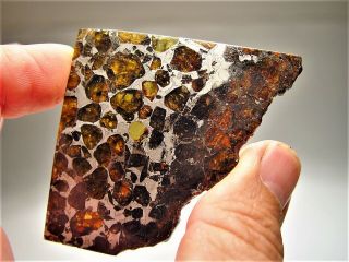 Museum Quality Crystals Brahin Pallasite Meteorite 36.  7 Gms