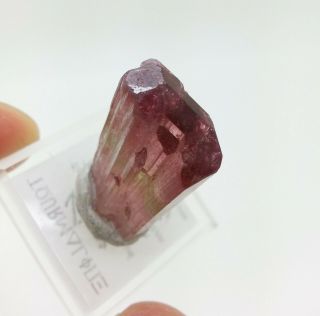 8.  81gram Bi Color Watermelon Tourmaline Crystal From Paprok Mine Afghan 44.  05cts