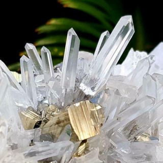 Spectacular 6 1/4 Inch Quartz Crystals With Pyrite Combination