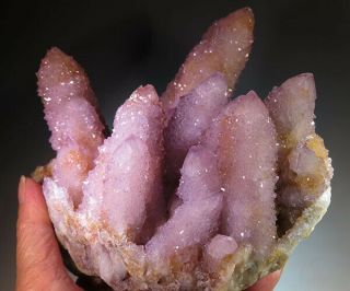5.  75 " Natural Cactus Amethyst Spirit Quartz Crystal Cluster South Africa 0085