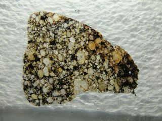 Sah - 97210 L/ll3.  2 Type 3 Chondrite Meteorite - 97210 - 0001 - Thin Section - Rare