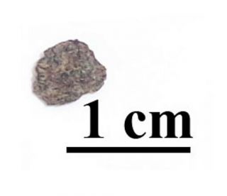 Rare Nwa 10720 Nakhlite Martian Meteorite,  Fragment,  0.  16 Grams