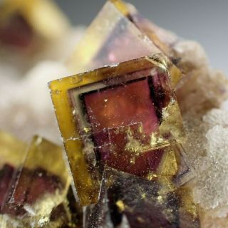 Fluorite Yellow Zoned Crystals With Pyrite Frohnau,  Germany