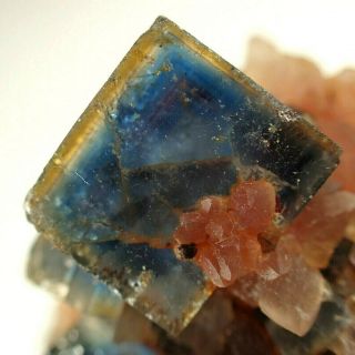 Fluorite Blue Zoned Crystals On Quartz Rare Locality Czech Republic
