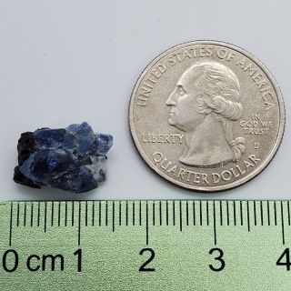 Benitoite and Neptunite crystal cluster specimen 3