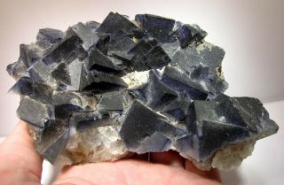 Large Cabinet Blue Fluorite: Elbolton Mine,  Grassington,  N.  Yorkshire,  Uk - Nr