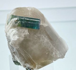 Gemmy Blue - Green 2 Cm Tourmaline Crystal On Quartz: Minas Gerais,  Brazil
