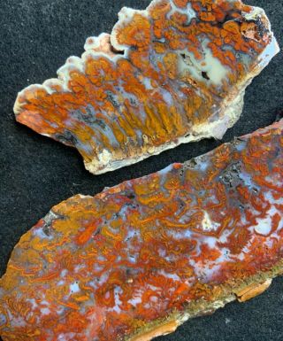 Wingate Pass Plume Agate / Death Valley Plume Slab Combo Old Stock
