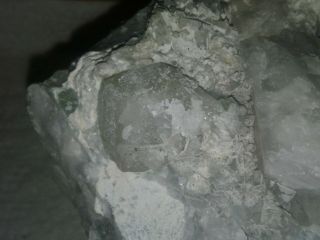 Large specimen phenakite on quartz/feldspar matrix,  Mt.  Antero,  Colorado Q83 3