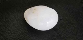 Translucent 31.  45 Ct - White Sheba Stone More Rare Than Cintamani Wow