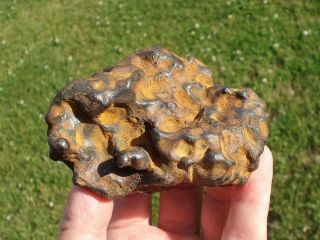 meteorite Sikhote - Alin,  Russia,  regmaglypted individual 616 g 3