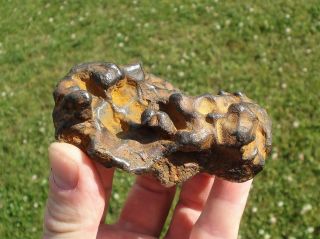 meteorite Sikhote - Alin,  Russia,  regmaglypted individual 616 g 5
