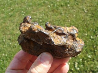 meteorite Sikhote - Alin,  Russia,  regmaglypted individual 616 g 6