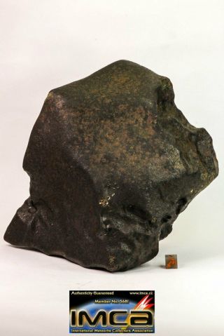 09156 - Complete Huge Regmaglypted Nwa Unclassified Chondrite Meteorite 5050 G