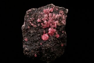 AESTHETIC Rhodochrosite Crystal Cluster UCHUCCHACUA MINE,  PERU 2