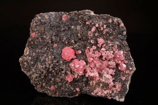 AESTHETIC Rhodochrosite Crystal Cluster UCHUCCHACUA MINE,  PERU 6