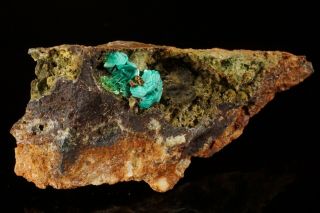 Chalcophyllite Crystal Majuba Hill Mine,  Nevada - Ex.  Reynolds