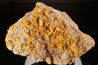 Old Rare Locale Wulfenite Crystal Cluster Hilltop Mine,  Arizona