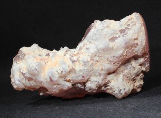 Pink Agate (Chalcedony) Wood from Texas Springs,  Nevada 127 grams Miocene 2