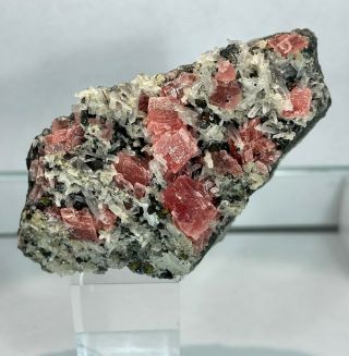 Red Rhodochrosite Crystals On Matrix: Sweet Home Mine,  Colorado - Classic