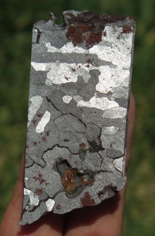 63mm 2.  1oz Natural Sikhote Alin Meteorite Slice Iron With Nickel From Russia