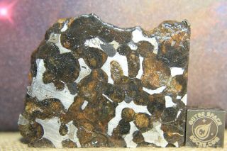 Sericho Pallasite Meteorite From Kenya Africa Habaswein 35.  2 Gram Part Slice