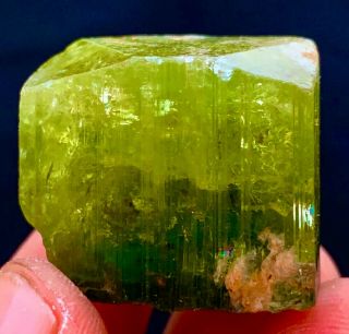 146 C.  T Tourmaline Natural Terminated Bi Color Gemmy Quality Tourmaline Crystal