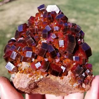 (: Large Lustrous Dark Cherry Red Vanadinite Crystals On Matrix From Morocco (: