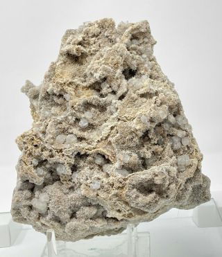 Large Plate Of Clear Fluorite On Quartz Crystals " Treasury Peak,  Colorado - Rare