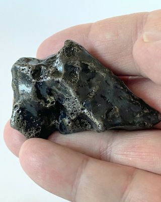 Meteorite,  Sikhote - Alin - Premium Quality @126 grams 2