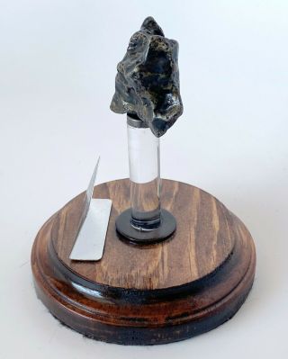 Meteorite,  Sikhote - Alin - Premium Quality @126 grams 4