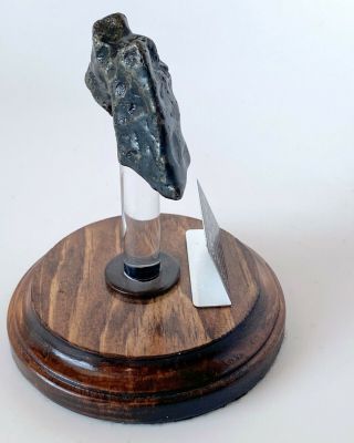 Meteorite,  Sikhote - Alin - Premium Quality @126 grams 6