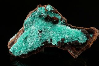 AESTHETIC Aurichalcite Crystal Cluster OJUELA MINE,  MEXICO - Ex.  Lemanski 3