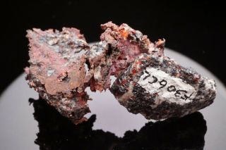 Native Copper with Cuprite on Willemite & Franklinite FRANKLIN,  NJ - Ex. 6