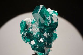 CLASSIC Dioptase with Dolomite Crystal TSUMEB,  NAMIBIA 2