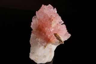 AESTHETIC Rose Quartz Crystal Cluster TAQUARAL,  BRAZIL 2