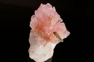 AESTHETIC Rose Quartz Crystal Cluster TAQUARAL,  BRAZIL 5