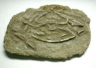 Fossil Bird Or Dinosaur In Sandstone Matrix – Art Piece