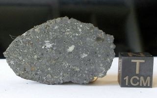 Meteorite Nwa 13542 – Carbonaceous Chondrite Cv3 - Fresh Endcut W/cai