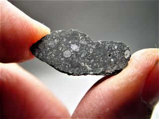 Historic Witnessed Fall Best Allende Cv3 Meteorite 3.  657 Gms