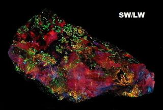 M - 454: 1 Spectacular 4 Color Miller Canyon Rock (az),  Fluorescent Minerals