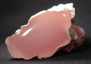 Pink Agate (chalcedony) Wood From Texas Springs,  Nevada 50 Grams Miocene