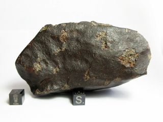 Nwa X Meteorite 772g Colossal Chondrite With Character