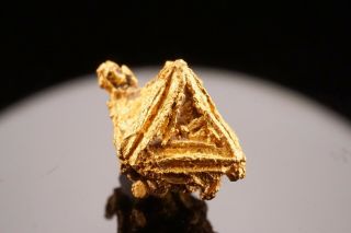 Octahedral Native Gold Crystal South Wales,  Australia - Ex.  Halpern