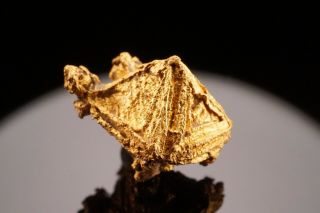 Octahedral Native Gold Crystal SOUTH WALES,  AUSTRALIA - Ex.  Halpern 4