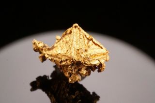 Octahedral Native Gold Crystal SOUTH WALES,  AUSTRALIA - Ex.  Halpern 6