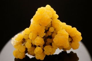 CLASSIC Botryoidal Mimetite Crystal with Calcite SAN PEDRO MINE,  MEXICO 4
