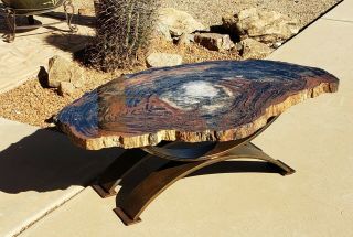 38 Inch Fossil Petrified Wood Table Arizona Chinle Formation