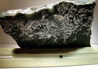 Choice Herringbone Silver Slab: Siscoe Mine,  Cobalt,  Ontario,  Canada - Nr