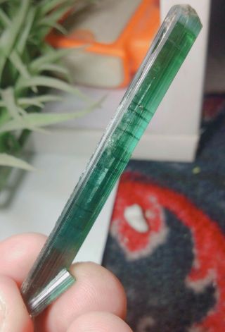 50 Ct Double Terminated Bluish Green Tourmaline Crystal @ Afghanistan